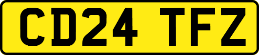 CD24TFZ