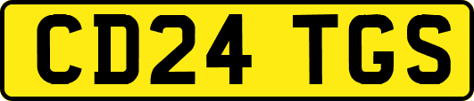 CD24TGS