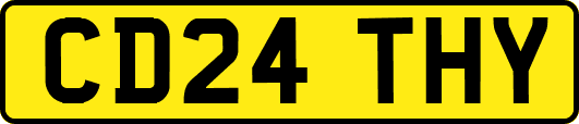 CD24THY