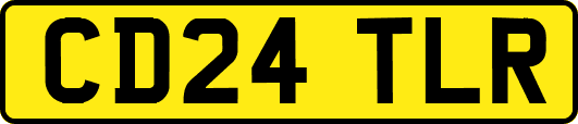 CD24TLR