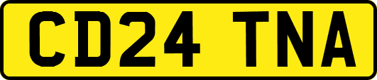 CD24TNA