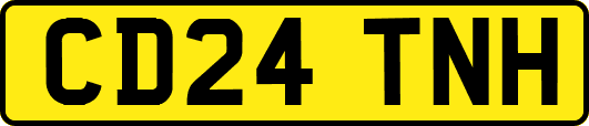 CD24TNH