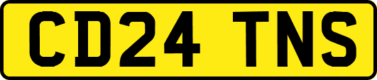CD24TNS