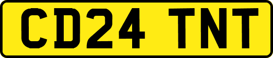 CD24TNT