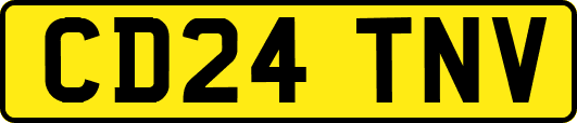 CD24TNV
