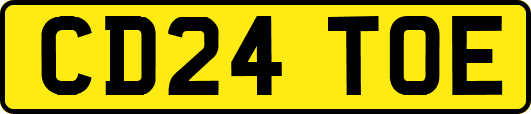 CD24TOE