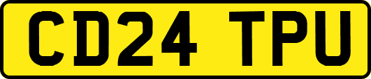 CD24TPU
