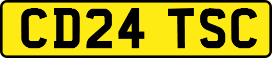 CD24TSC