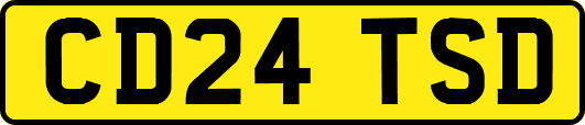 CD24TSD