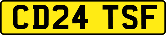 CD24TSF