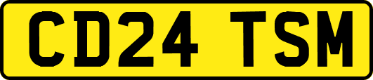CD24TSM