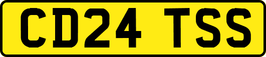 CD24TSS