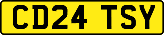 CD24TSY