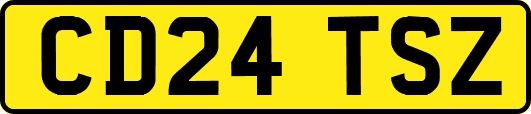 CD24TSZ