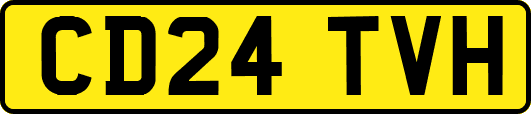 CD24TVH