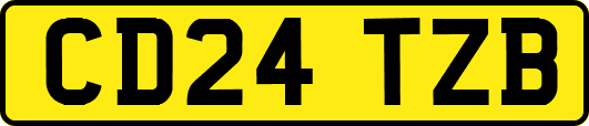 CD24TZB