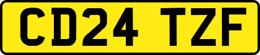 CD24TZF
