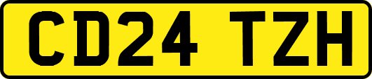 CD24TZH