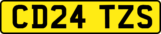 CD24TZS
