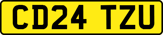 CD24TZU