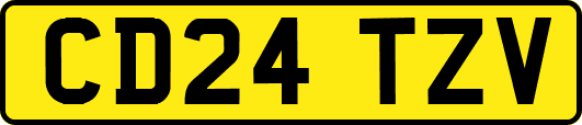 CD24TZV