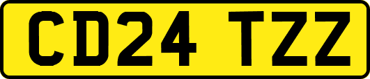 CD24TZZ