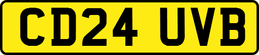 CD24UVB