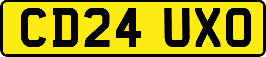 CD24UXO