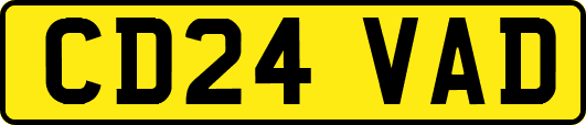 CD24VAD