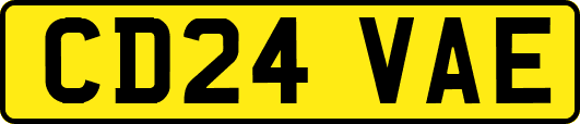 CD24VAE