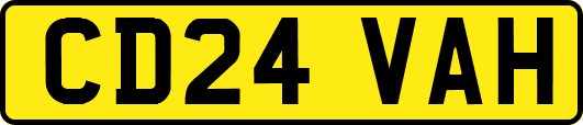 CD24VAH