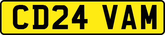 CD24VAM