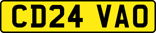 CD24VAO