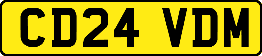 CD24VDM