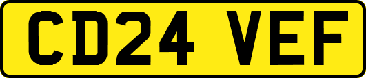 CD24VEF