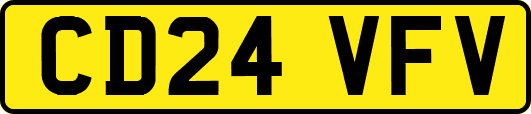 CD24VFV