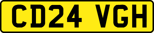 CD24VGH