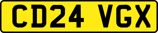 CD24VGX