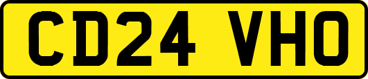 CD24VHO