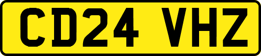 CD24VHZ