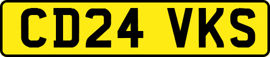 CD24VKS