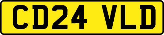 CD24VLD