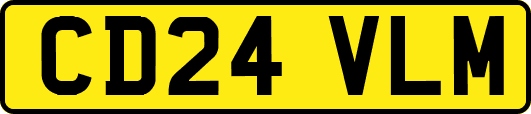 CD24VLM