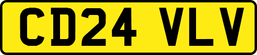 CD24VLV
