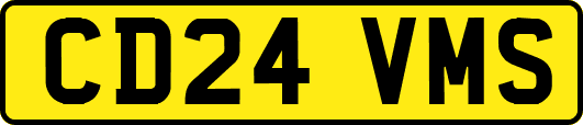 CD24VMS