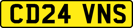CD24VNS