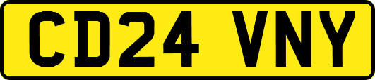 CD24VNY