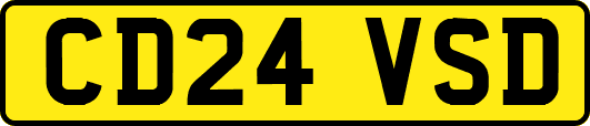CD24VSD