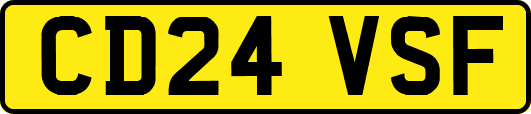 CD24VSF