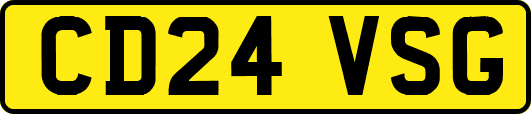 CD24VSG